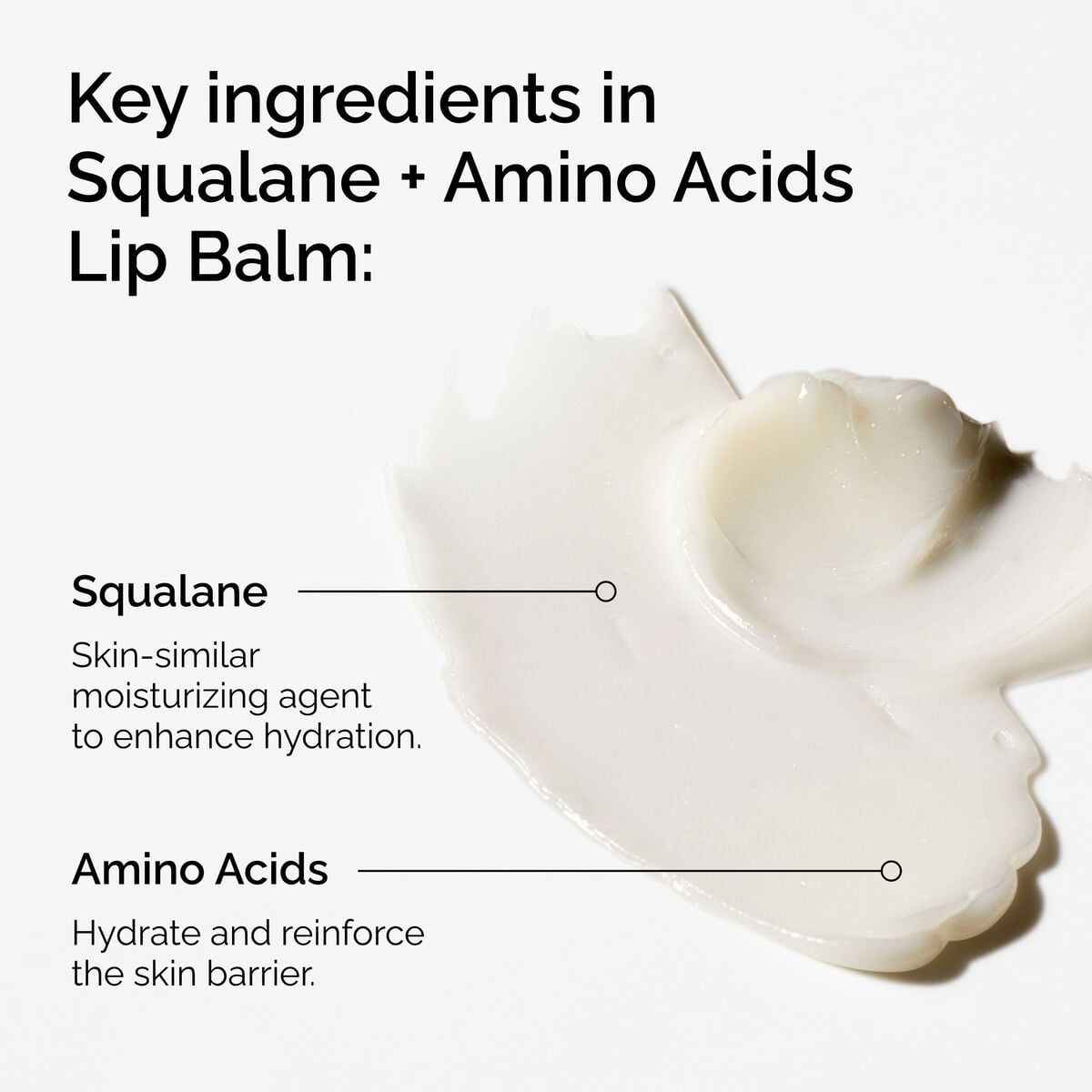 squalane-amino-acids-lip-balm-p2 FY25-D41247-ORD-Web-PDP-Sql-Amino-Lip-1x1-EN-2a.jpg