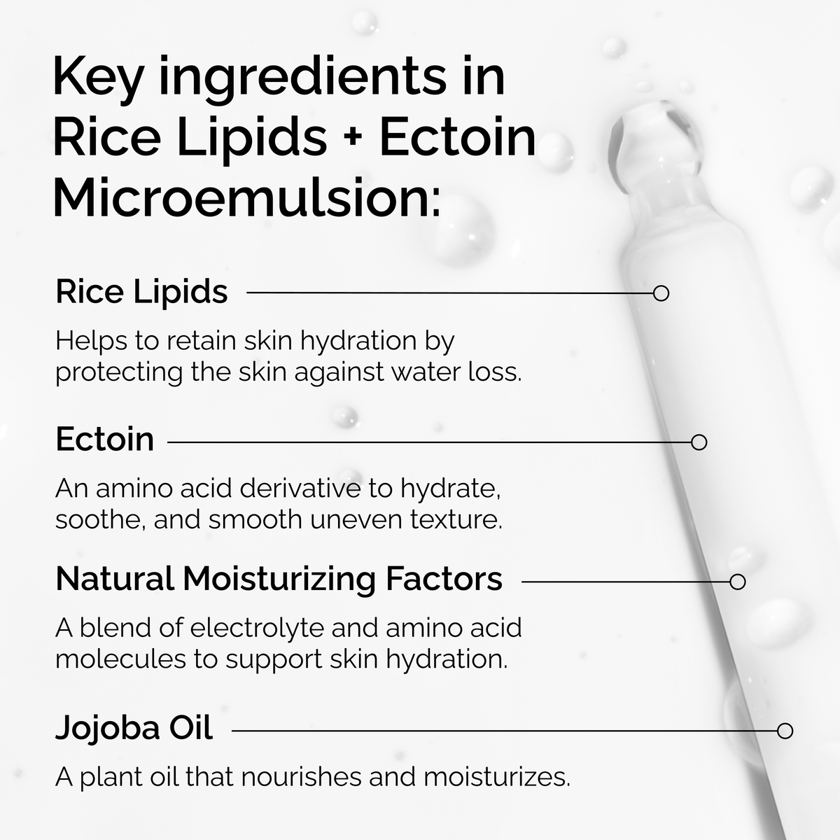 rice-lipids-ectoin-microemulsion-i8 ord-rice-lipids-ectoin-microemulsion-key-ingredients.png