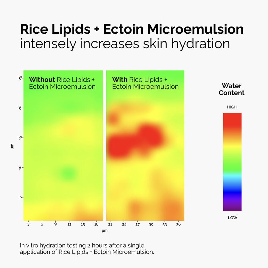 rice-lipids-ectoin-microemulsion-i8 ord-rice-lipids-ectoin-microemulsion-thermal-before-after.jpg